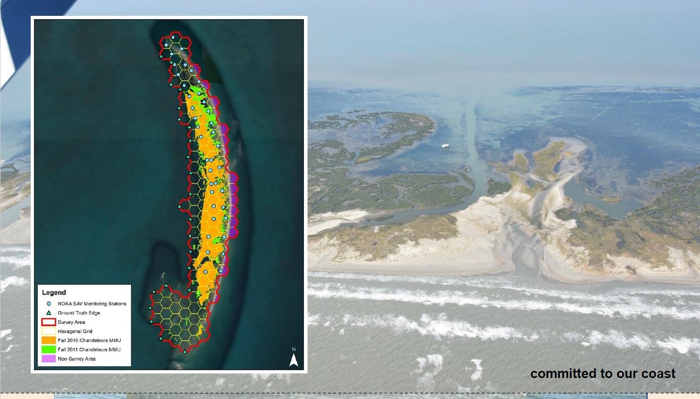 Identifying marine seagrass meadow